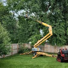 Best Lawn Renovation and Restoration  in Brooks, KY
