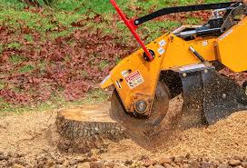 Best Tree Trimming and Pruning  in Brooks, KY
