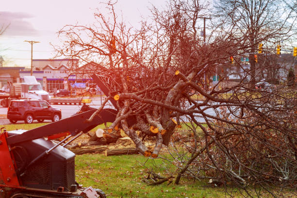 Best Seasonal Cleanup (Spring/Fall)  in Brooks, KY